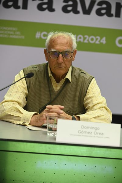 Domingo Gómez Orea